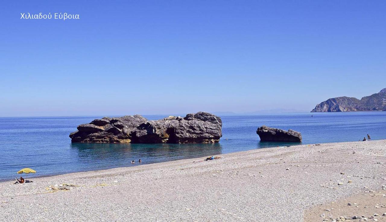 Fabulous Central Apartment Close To The Sea! Chalkís Exteriör bild